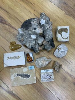 Full Catalogue Entry