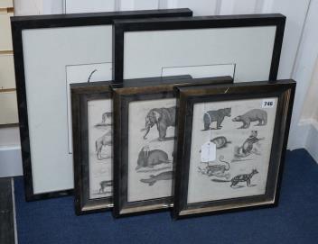 Full Catalogue Entry