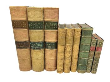 Full Catalogue Entry