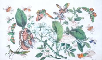 Full Catalogue Entry