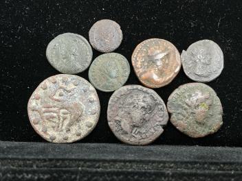 Full Catalogue Entry