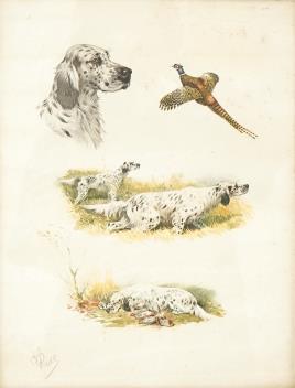 Full Catalogue Entry
