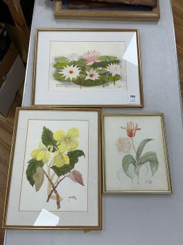 Full Catalogue Entry
