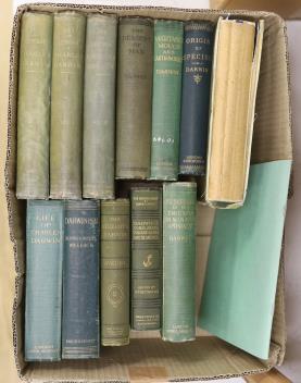 Full Catalogue Entry