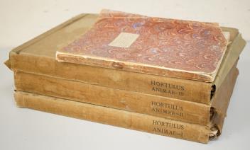 Full Catalogue Entry