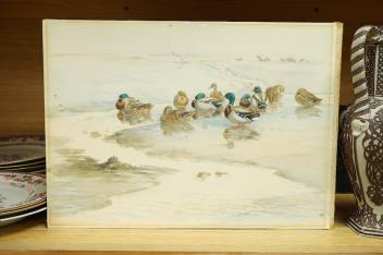 Full Catalogue Entry