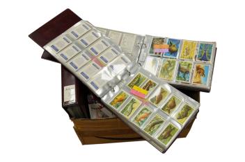 Full Catalogue Entry