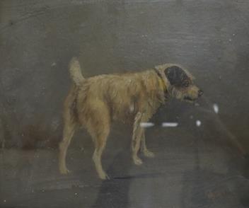 Full Catalogue Entry