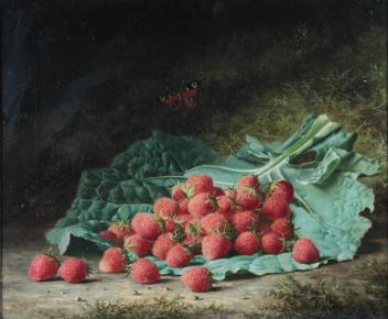 Full Catalogue Entry