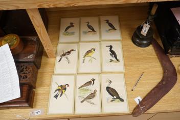 Full Catalogue Entry