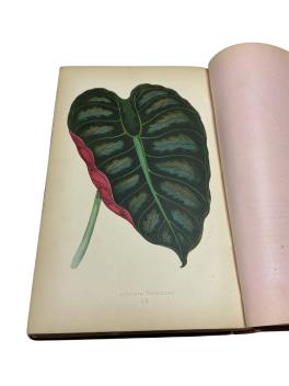 Full Catalogue Entry