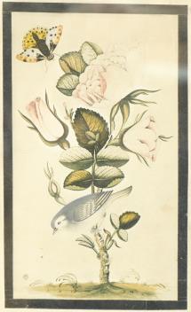 Full Catalogue Entry