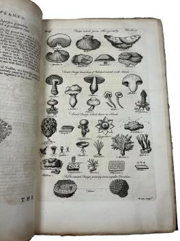 Full Catalogue Entry