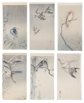 Full Catalogue Entry
