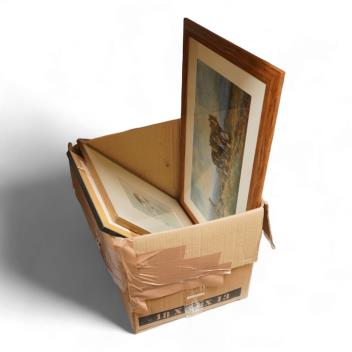 Full Catalogue Entry