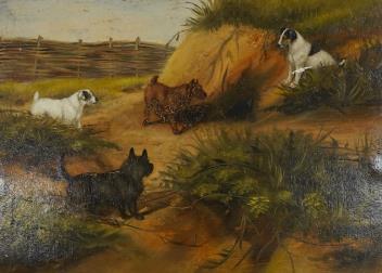 Full Catalogue Entry