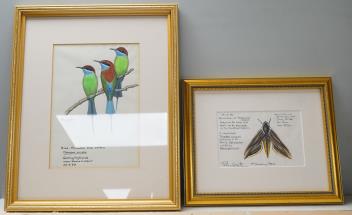 Full Catalogue Entry