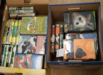 Full Catalogue Entry