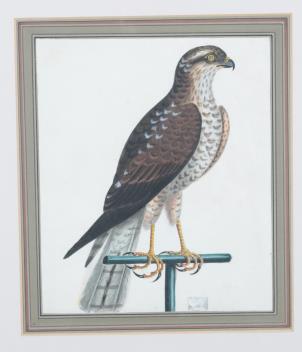 Full Catalogue Entry