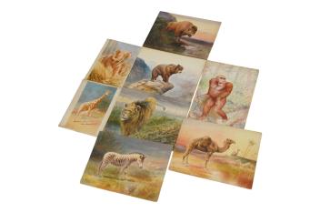 Full Catalogue Entry