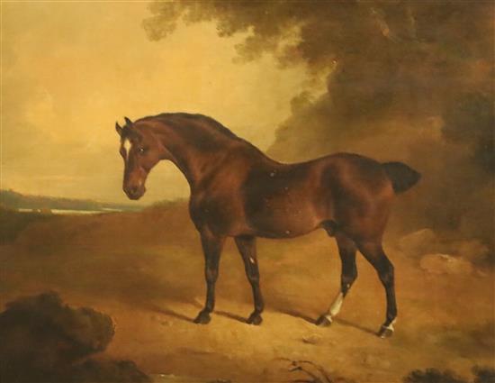 Early 19th century English School Brown horse in a landscape 18 x 23.25in. Early 19th century English School Brown horse in a landscape 18 x 23.25in.