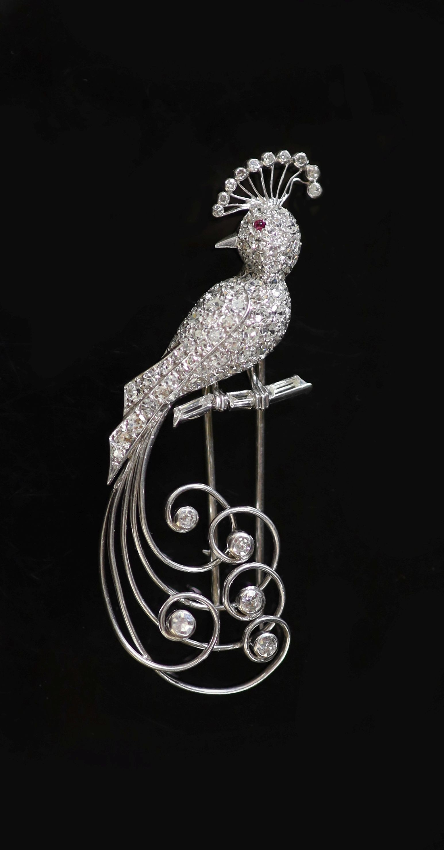 An early to mid 20th century French 18ct white gold and diamond encrusted 'bird of paradise' clip brooch
