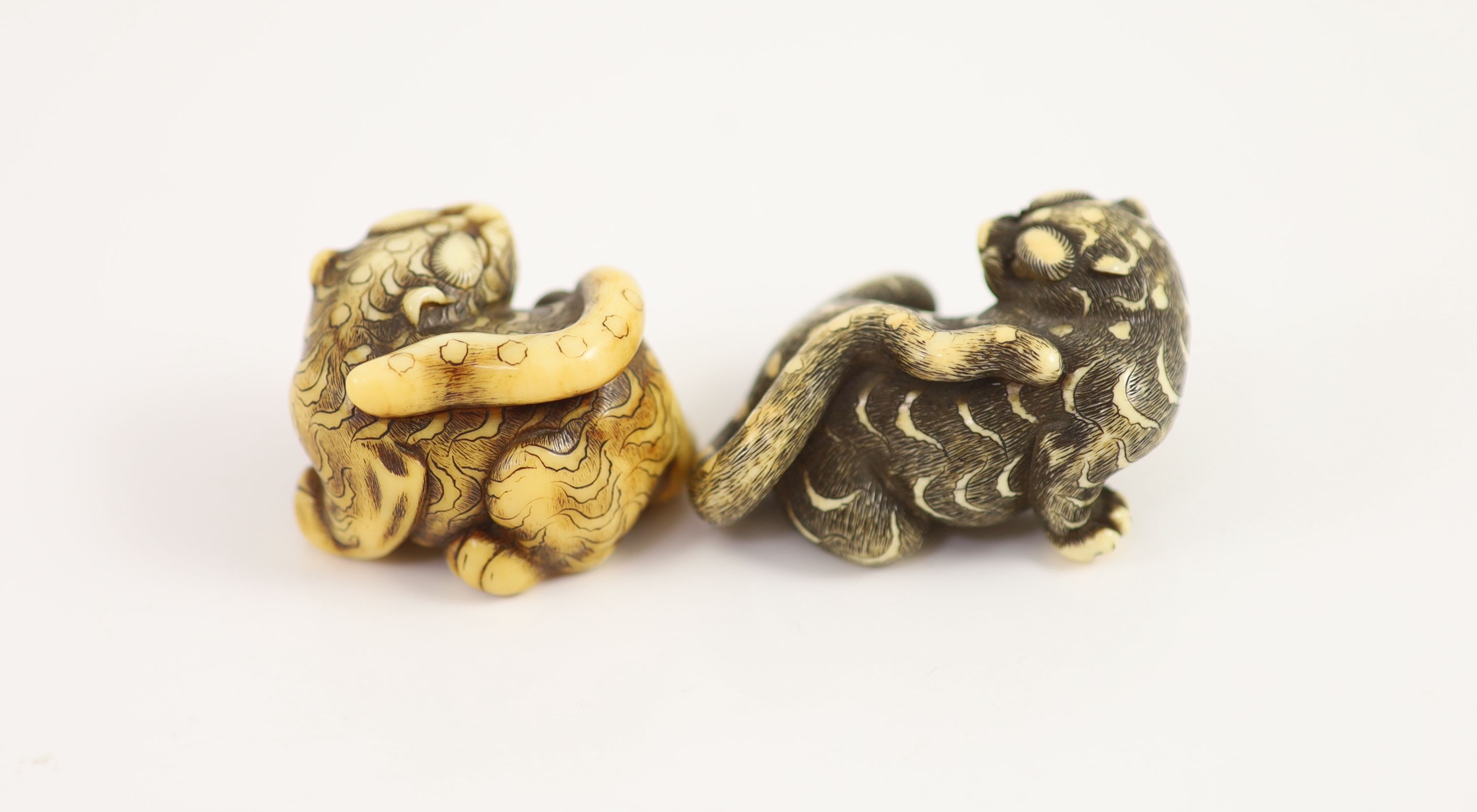 Two Japanese ivory netsuke of a tiger, Edo period, first half 19th century, 4cm and 5cm