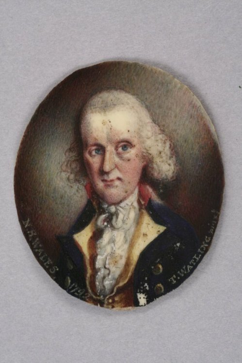 Thomas Watling (fl.1801-3) Australian Miniature of John White Esq, Surgeon General of New South Wales 2 x 1.5in. & tassie type plaque Thomas Watling (fl.1801-3) Australian Miniature of John White Esq, Surgeon General of New South Wales 2 x 1.5in. & tassie type plaque