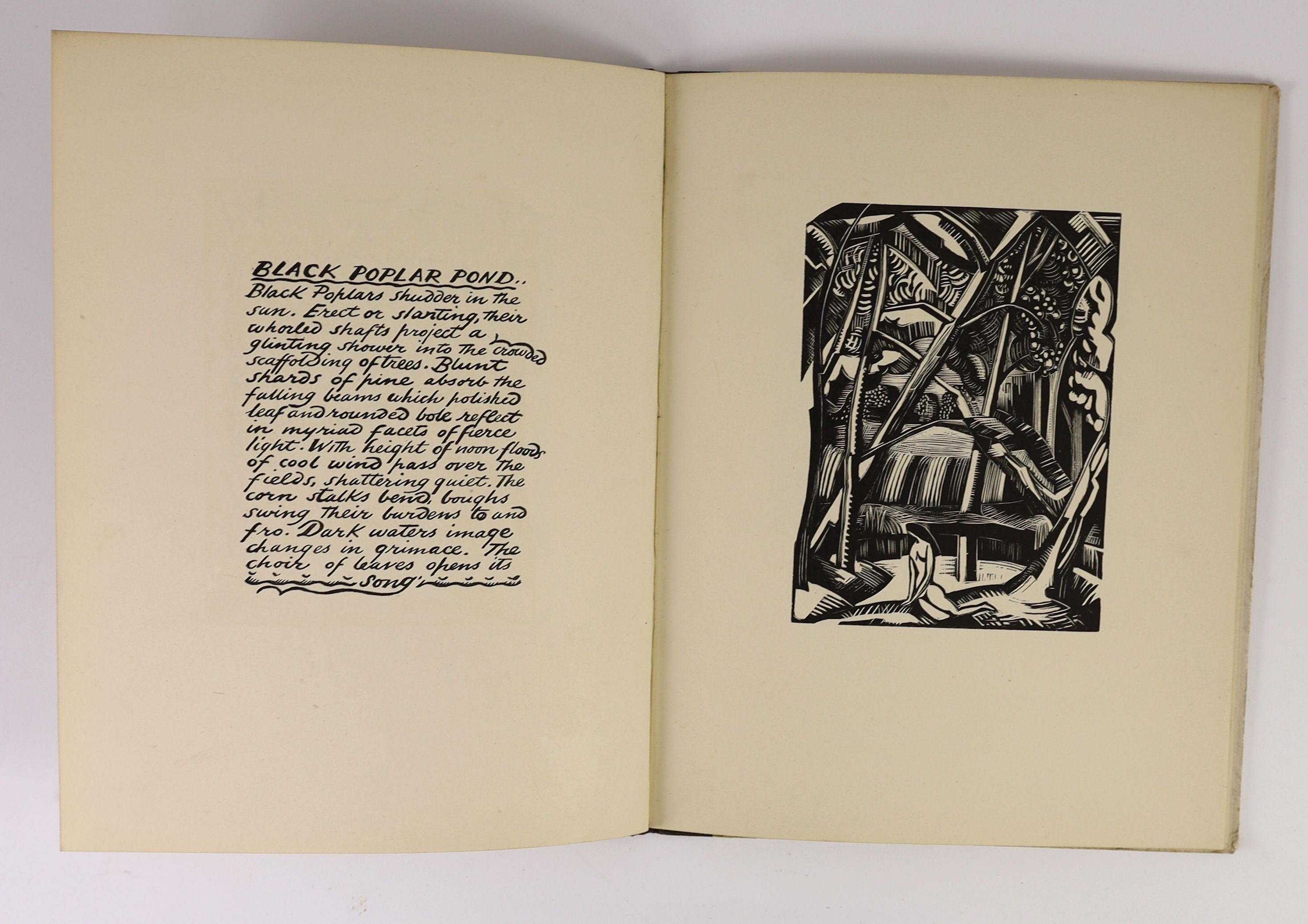 Nash, Paul - Places. 1st and limited edition, one of 210 copies. Complete with 7 full page woodcut illustrations plus large tailpiece. Publishers quarter cloth and illustrated and titled paper on board. Prelims complete