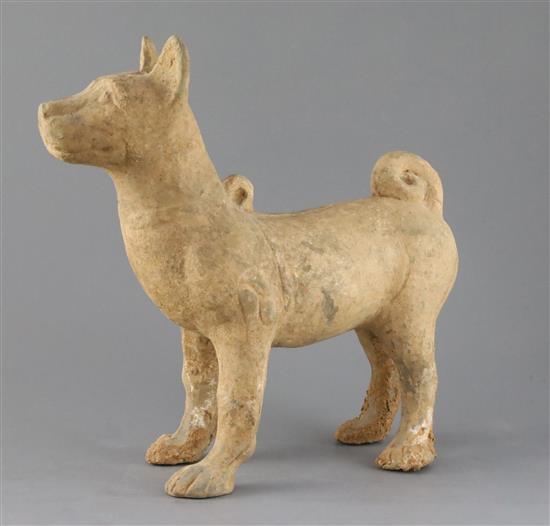 A Chinese Sichuan pottery model of a standing dog standing, Han dynasty (206BC - 220AD), L.33cm H.32.5cm A Chinese Sichuan pottery model of a standing dog standing, Han dynasty (206BC - 220AD), L.33cm H.32.5cm