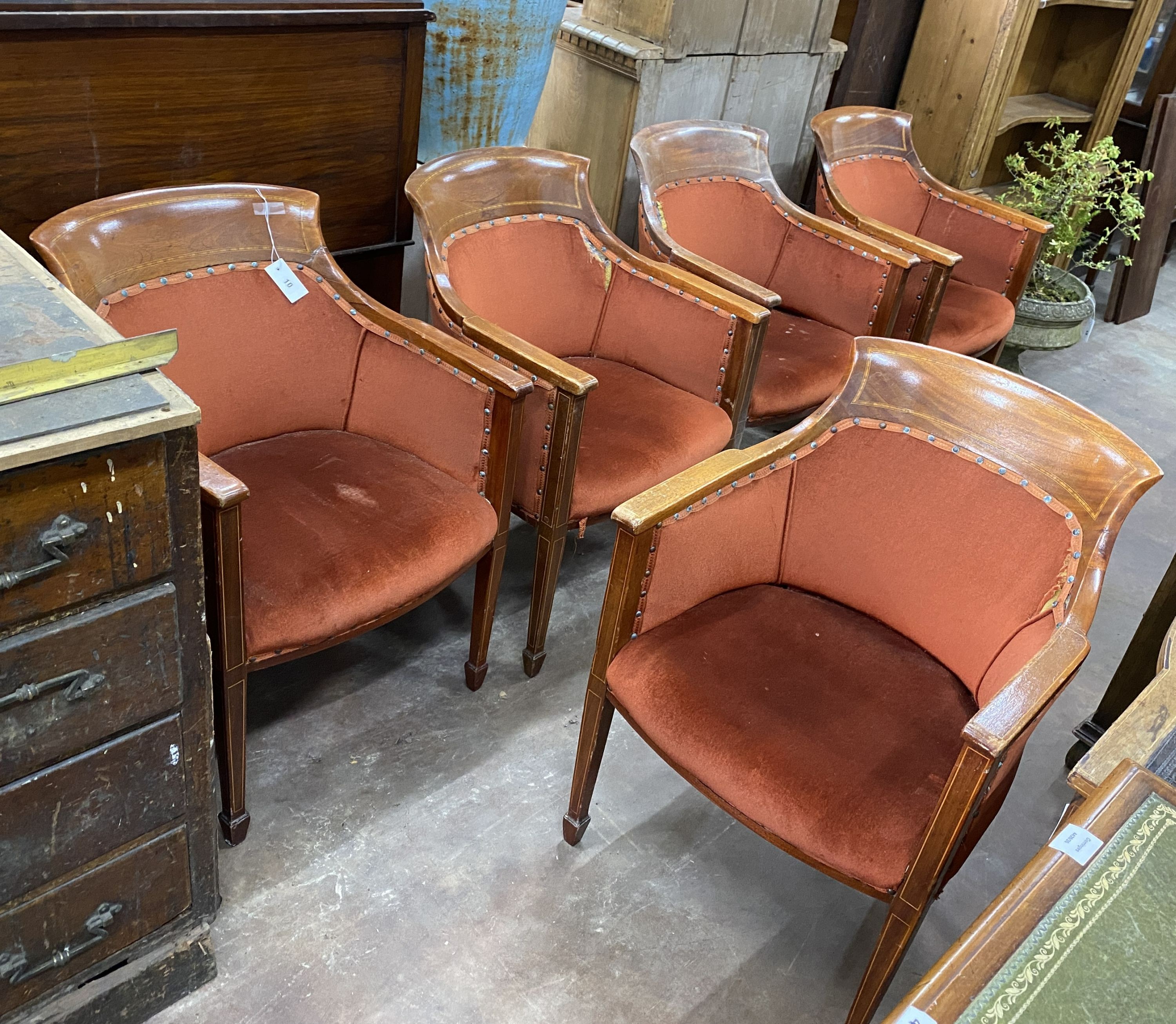 Five Regency style gentlemen's club chairs, width 57cm, depth 52cm, height 83cm