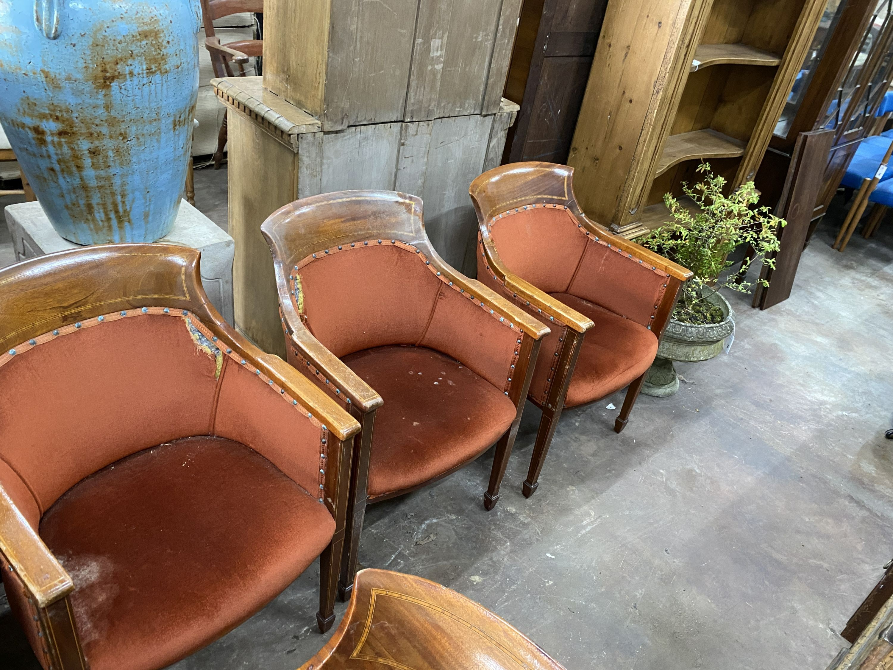 Five Regency style gentlemen's club chairs, width 57cm, depth 52cm, height 83cm