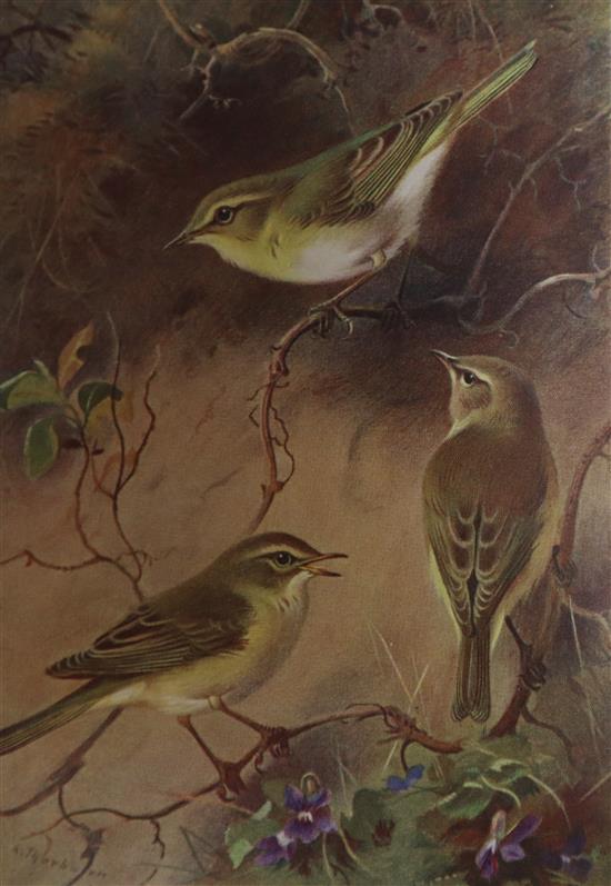 My Scottish Sketch Book by Lionel Edwards, together with four vols of British Birds by Archibald Thorburn My Scottish Sketch Book by Lionel Edwards, together with four vols of British Birds by Archibald Thorburn