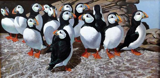§ Keith Shackleton (1923-2015) Puffins on the Great Smith: Isles of Scilly 17.5 x 36in. § Keith Shackleton (1923-2015) Puffins on the Great Smith: Isles of Scilly 17.5 x 36in.