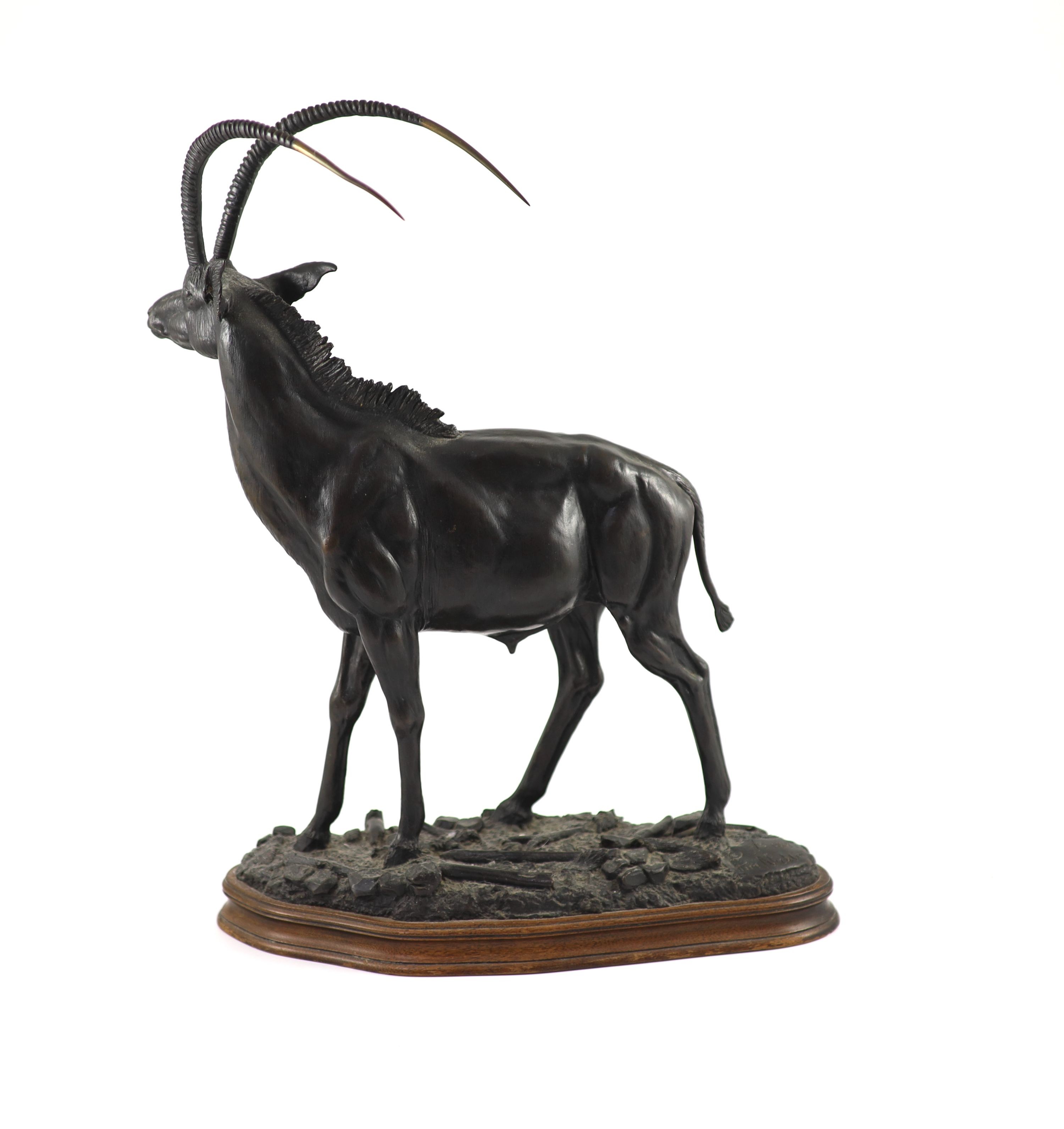 Tim Nicklin. A bronze model of a Sable antelope width 33cm height 45cm