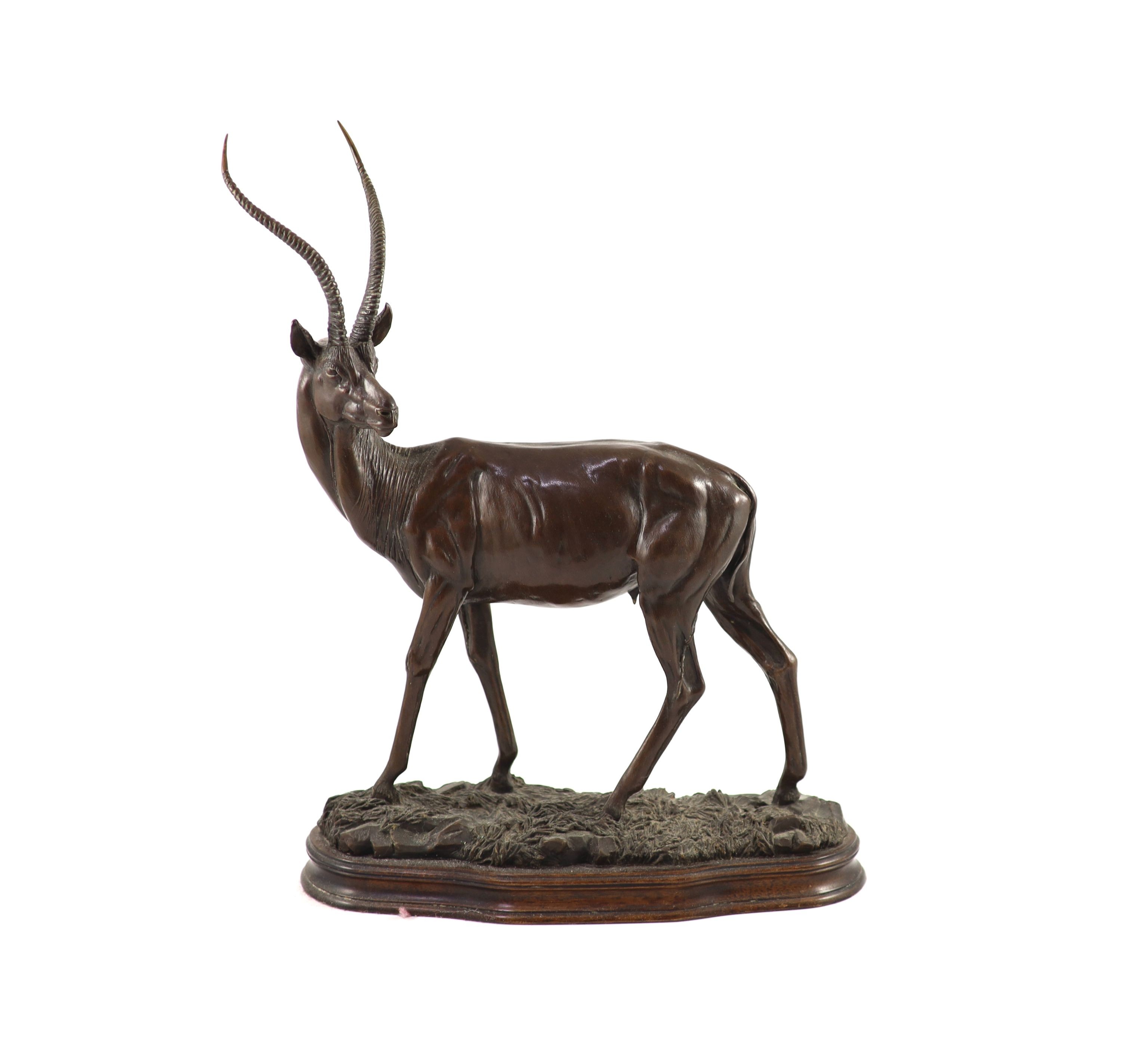 Tim Nicklin. A bronze model of a Grants gazelle length 33cm height 41cm
