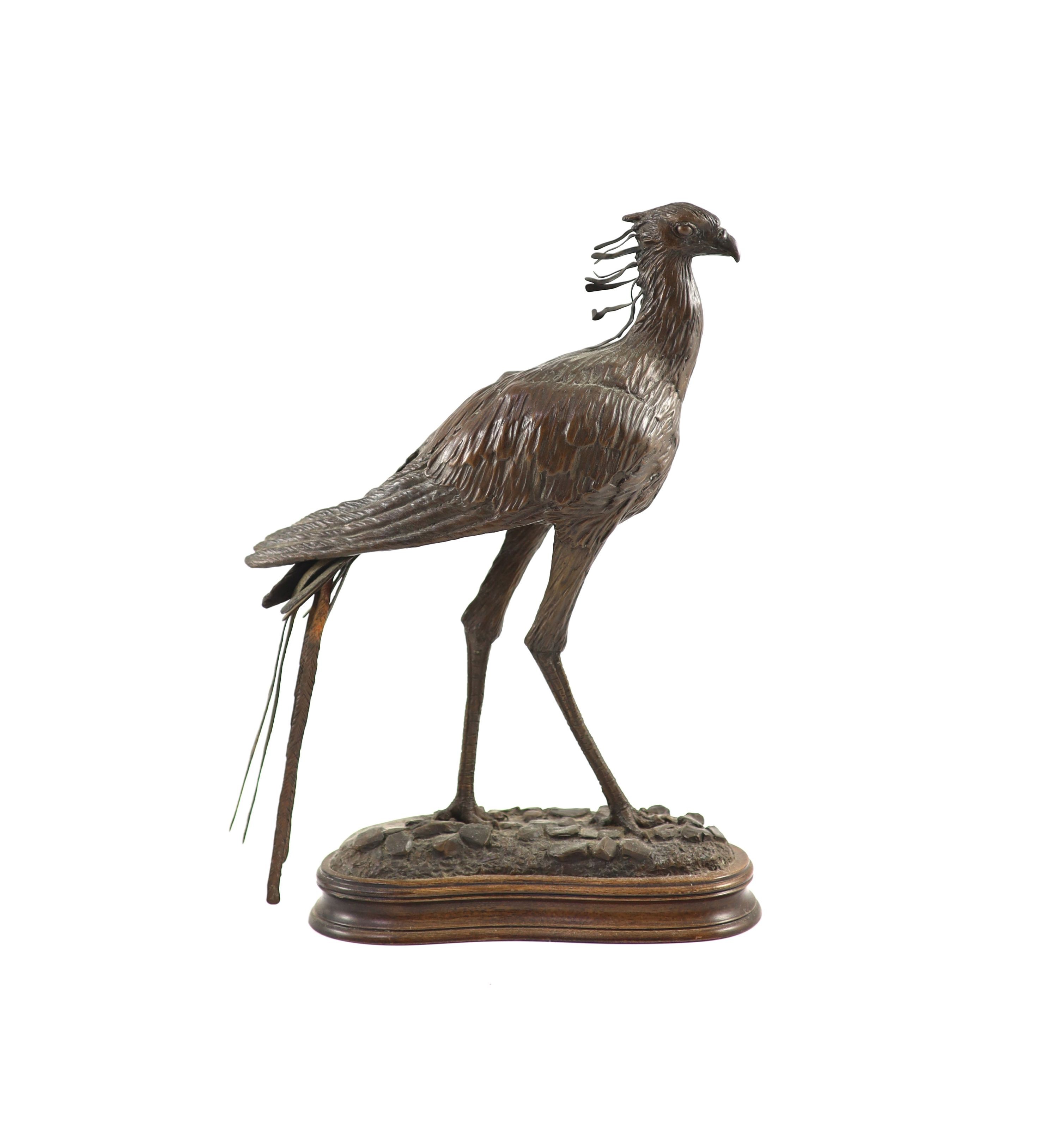 Tim Nicklin. A bronze model of a Secretary bird width 24cm height 32cm