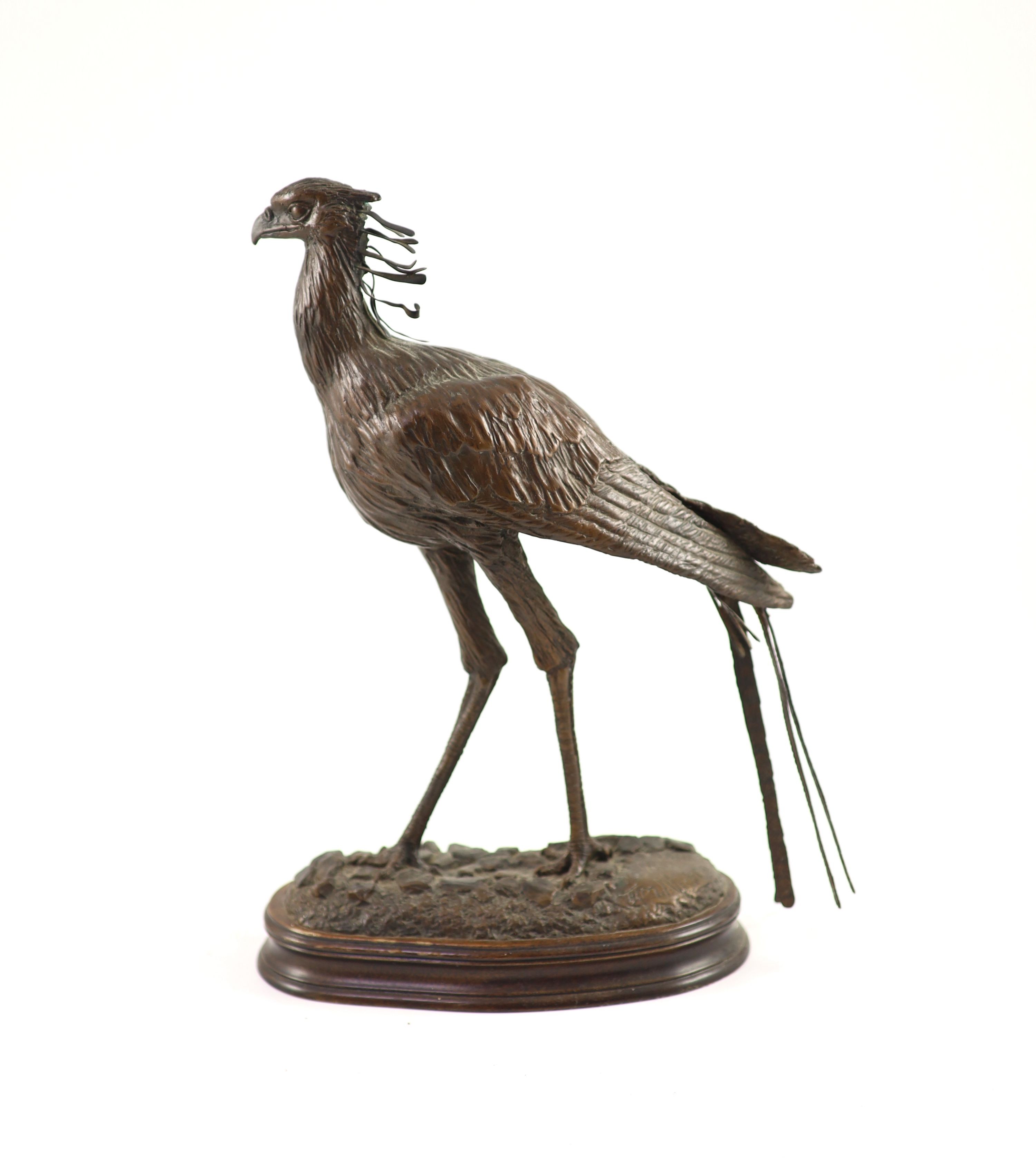 Tim Nicklin. A bronze model of a Secretary bird width 24cm height 32cm