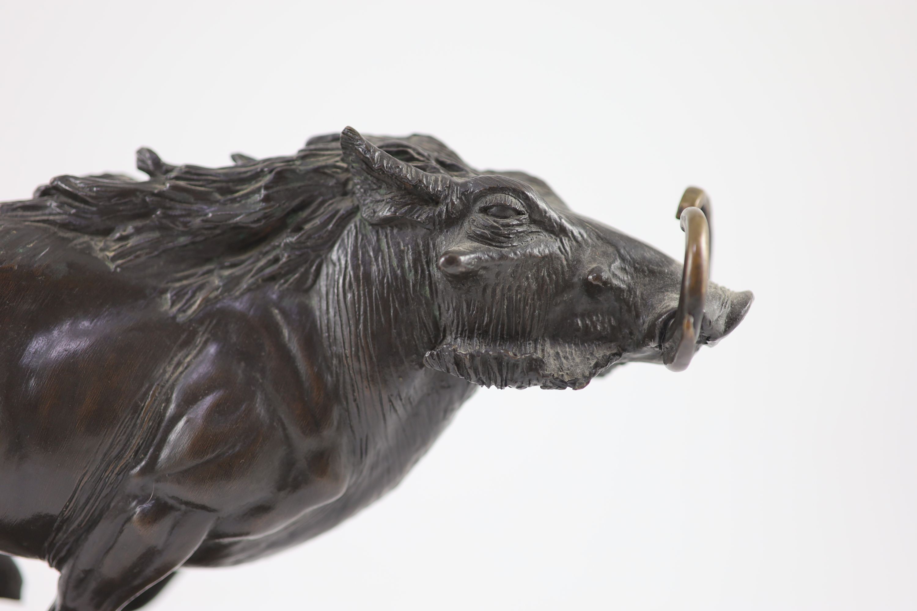 Tim Nicklin. A bronze model of a running warthog length 38cm height 20cm
