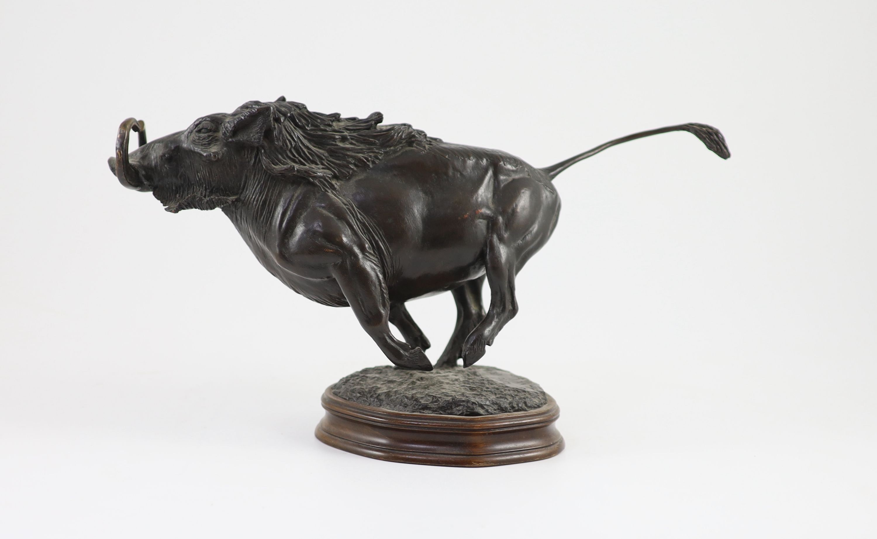 Tim Nicklin. A bronze model of a running warthog length 38cm height 20cm