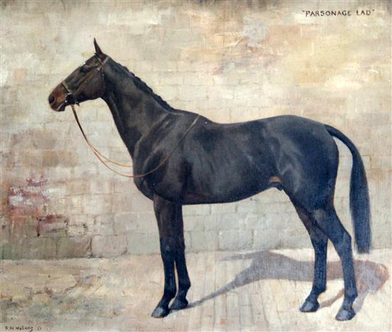 Frances Mabel Hollams (1877-1963) Portrait of a horse Parsonage Lad 14.75 x 17.75in. Frances Mabel Hollams (1877-1963) Portrait of a horse Parsonage Lad 14.75 x 17.75in.