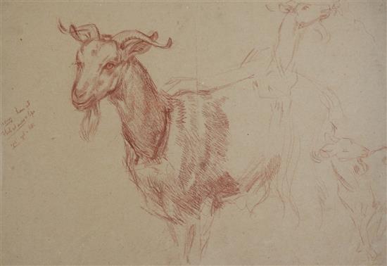 William Shackleton (1872-1933) Figure studies, early drawings, drapery and farm animals, Largest 22 x 15in. unframed. William Shackleton (1872-1933) Figure studies, early drawings, drapery and farm animals, Largest 22 x 15in. unframed.