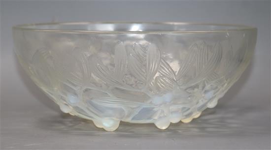 A Rene Lalique opalescent glass Gui bowl with stylised mistletoe design A Rene Lalique opalescent glass Gui bowl with stylised mistletoe design
