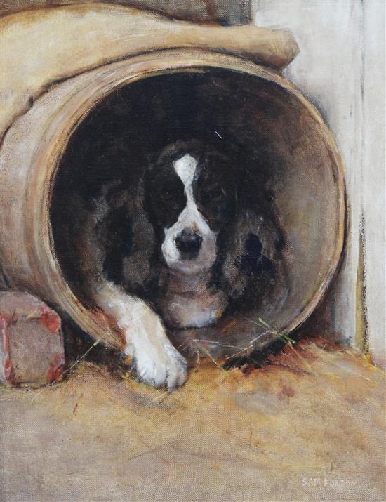 Samuel Fulton (1855-1941) Dog in a barrel kennel 20 x 16in. Samuel Fulton (1855-1941) Dog in a barrel kennel 20 x 16in.
