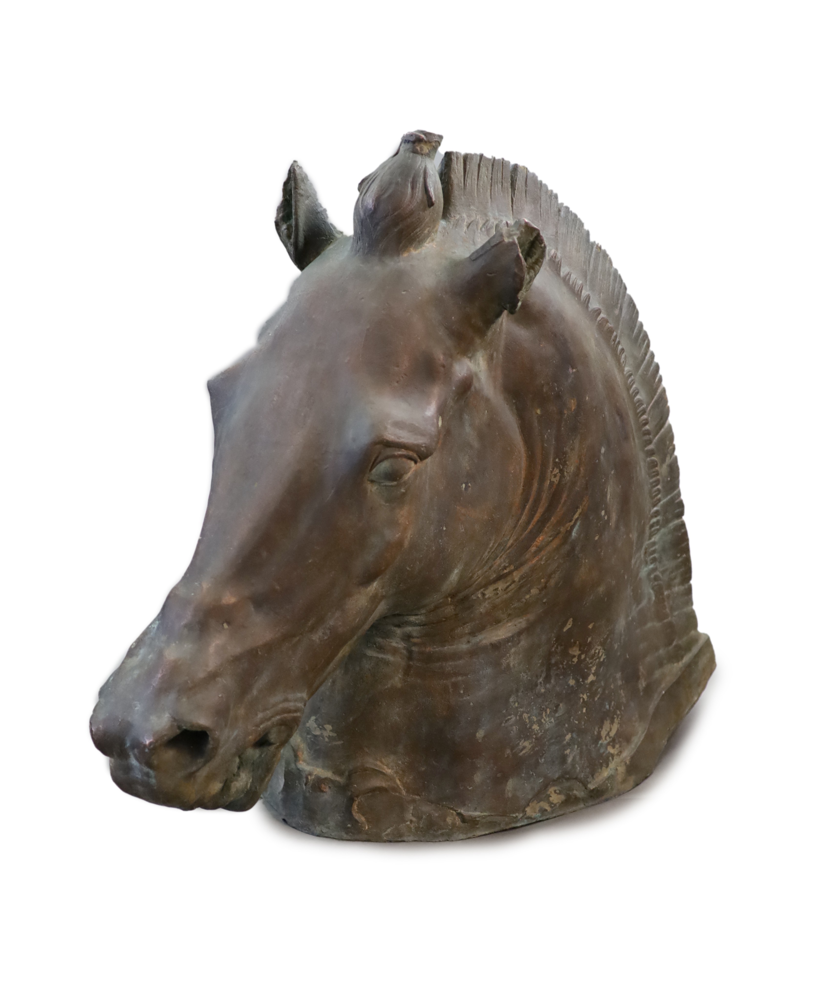 A large and impressive full-size bronze model after the Medici Riccardi horse’s head, 20th century, H 80cm. L 97cm.