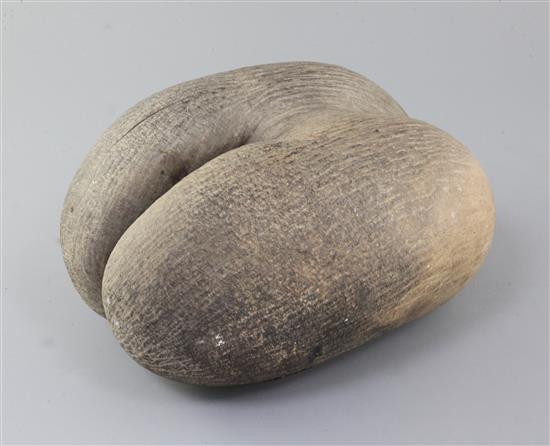 A coco-de-mer nut, 12in. A coco-de-mer nut, 12in.