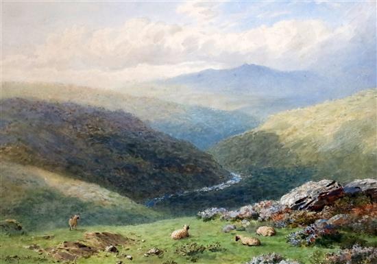 Harry Sutton Palmer (1854-1933) Sheep in a mountain landscape 11 x 15.75in. Harry Sutton Palmer (1854-1933) Sheep in a mountain landscape 11 x 15.75in.