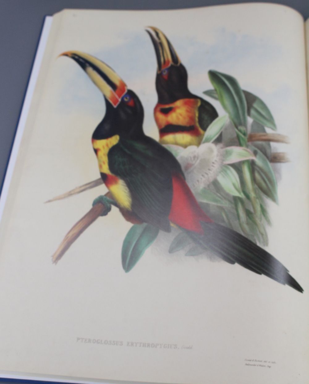 Gould, John - Humming Birds, facsimile edition, vols 1 and 5, folio, gilt titled blue cloth, 1994-1996; Toucans, facsimile edition, fol