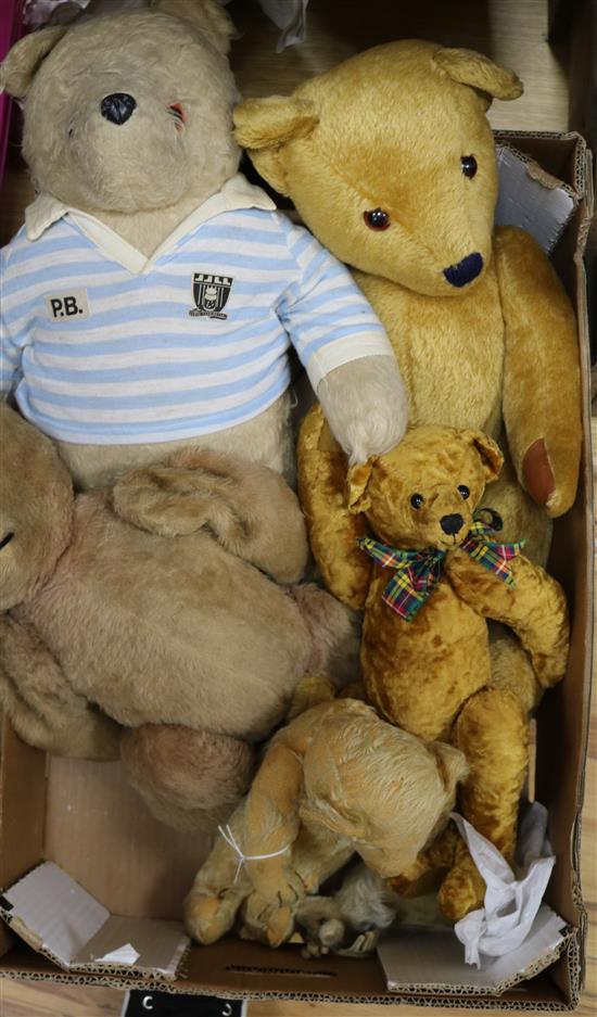 A collection of 20th century teddy bears and a stag (6) A collection of 20th century teddy bears and a stag (6)