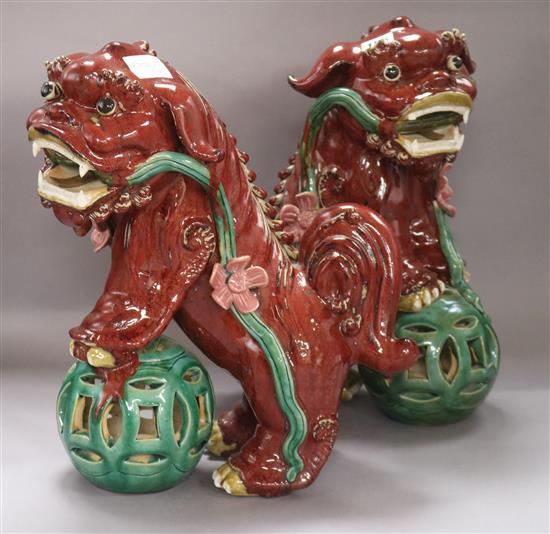 Two modern Chinese models of dogs of fo tallest 47cm Two modern Chinese models of dogs of fo tallest 47cm